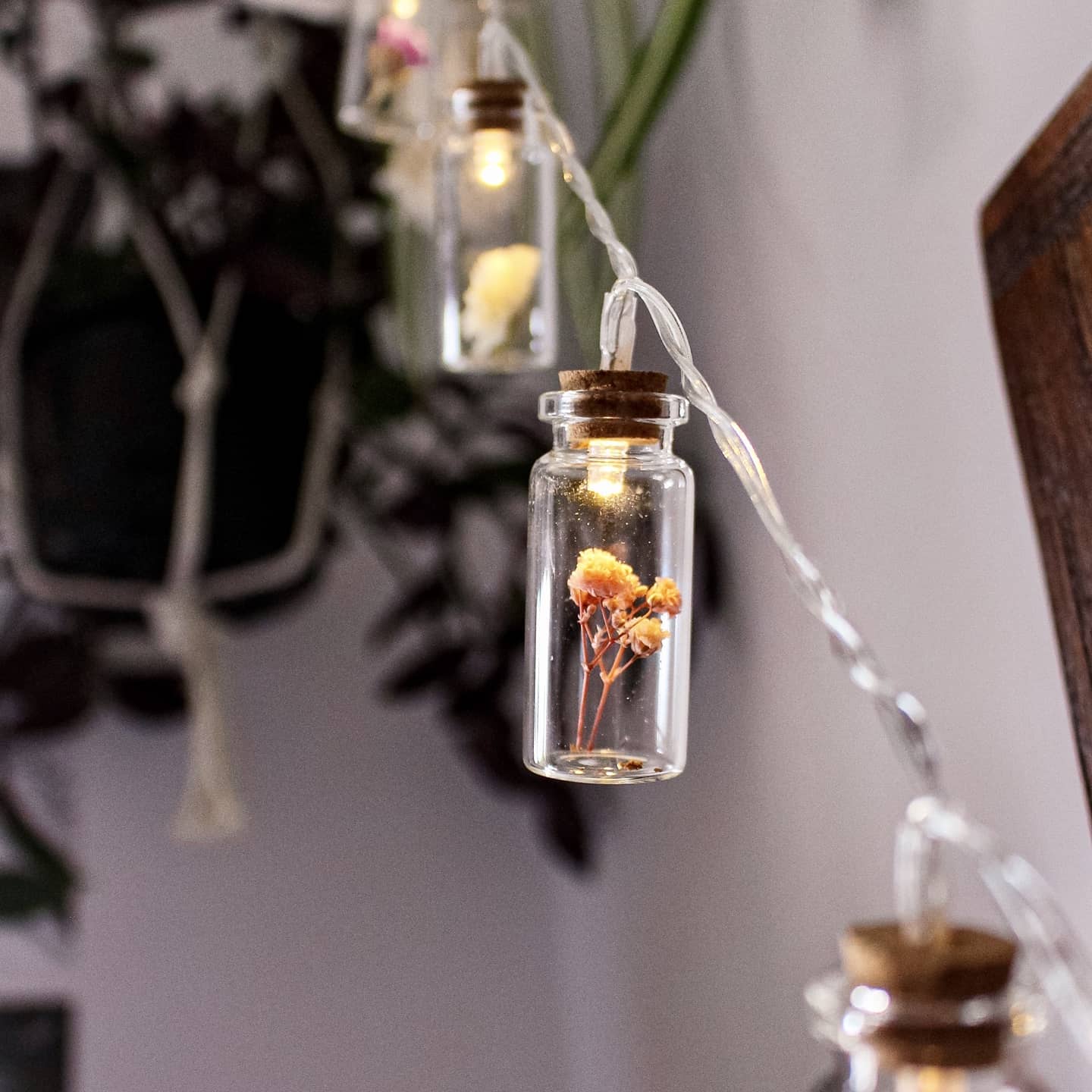 Dried Flower Lights - Bloomflower® Bloomflower®